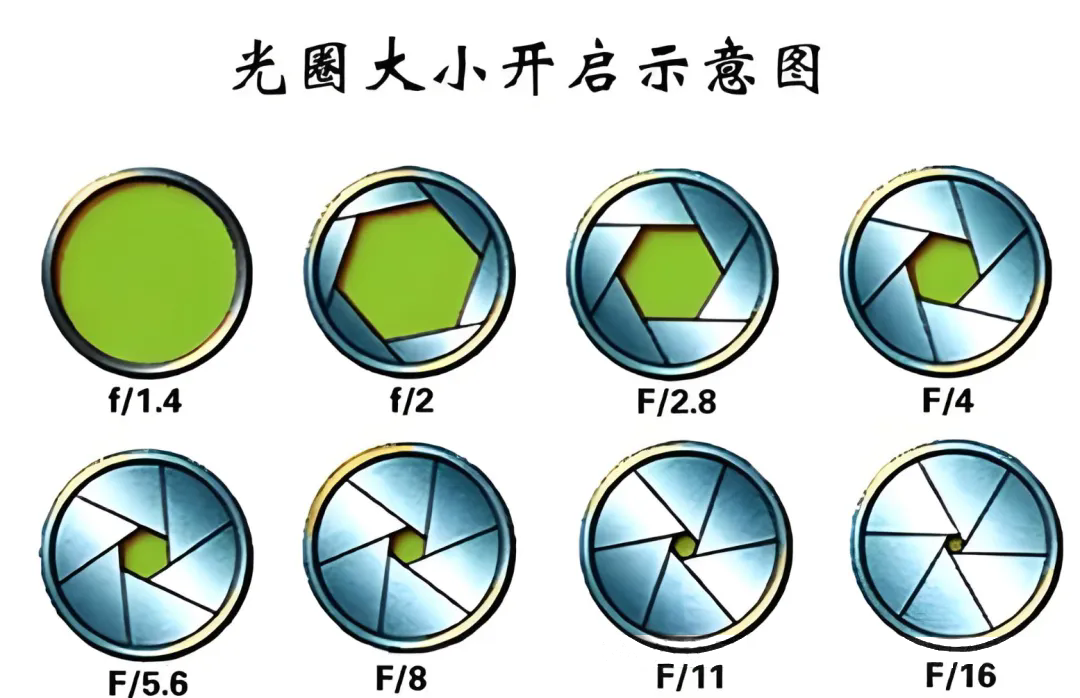 640.webp (1).png